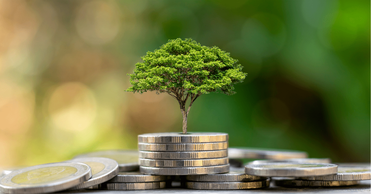 Featured image for “Investing 101: Simple Strategies for the Novice Investor”