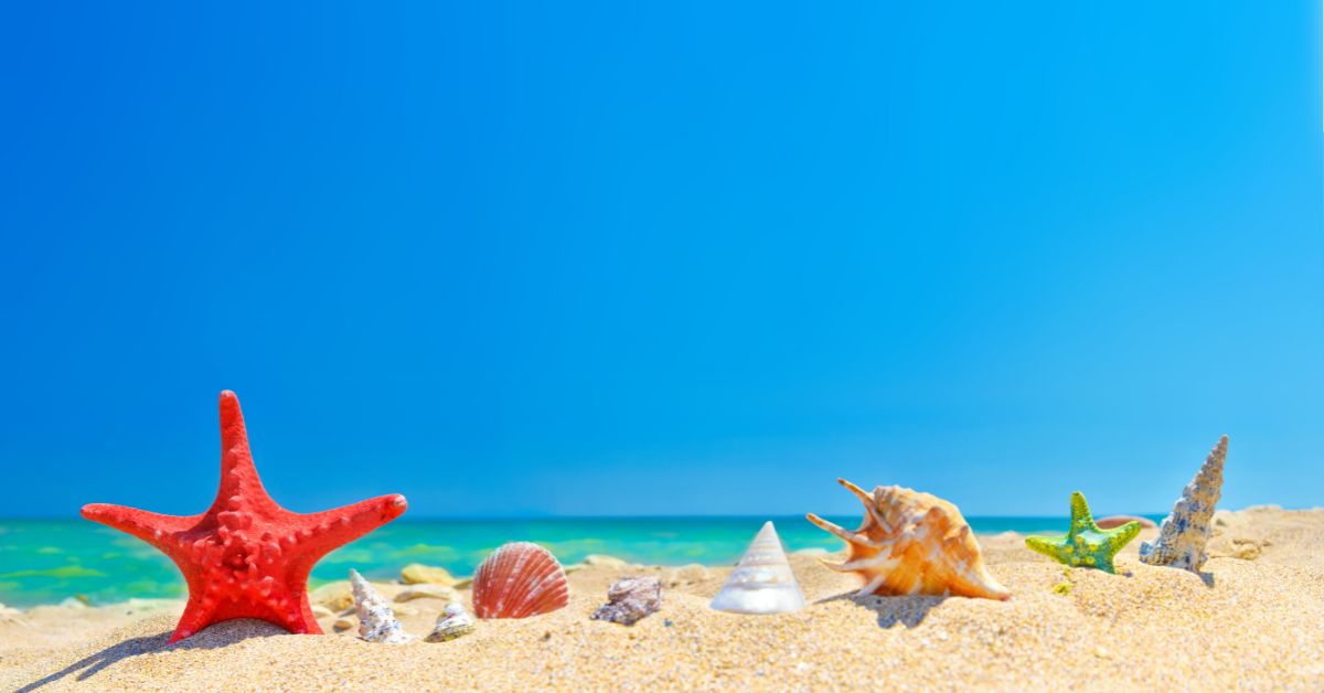 Featured image for “Escape the 9-5 Grind: How to Attain Financial Independence”